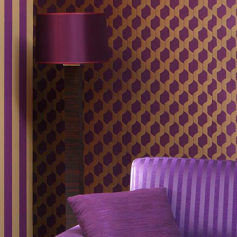nobilis-10258-voile-solo