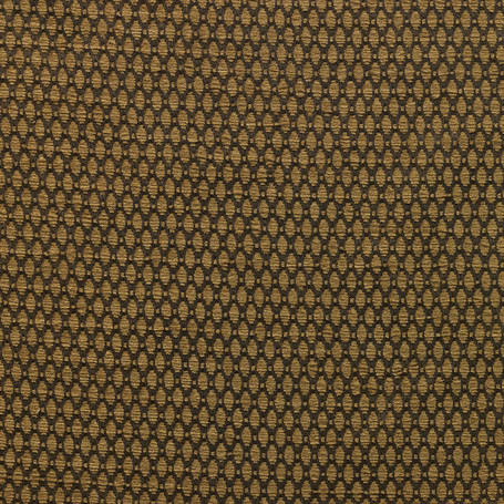 nobilis-10407-feve