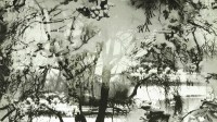 3307_01_n.jpg