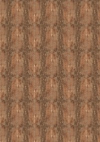3326_01_n.jpg