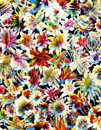 3339_01.jpg