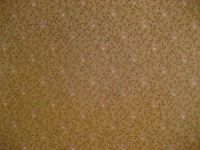 13372_7796.jpg
