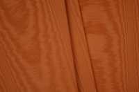 13506_25_N.jpg