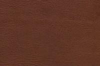 5098-50.jpg