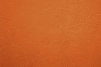 5132-20.jpg