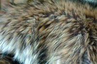 fake_furs.jpg
