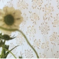 brera_wallpapers_thumb.jpg