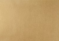 designers_guild_f1676-06.jpg