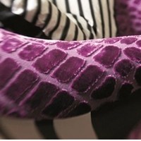 phipps_fabrics_thumb.jpg