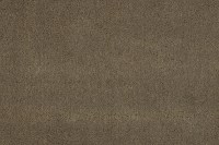 14300-137.jpg