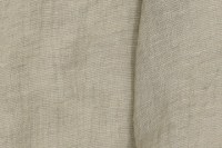 corallo_2675_527_emotion.jpg