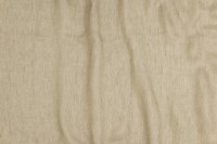 estella_2747_737_emotion_1.jpg