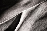 fischbacher_fabrics_yamamichi_14439_915.jpg