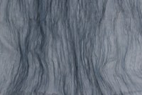 fru_fru_2757_701_emotion_1.jpg