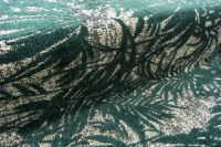 palmera_14638_824_e_1.jpg