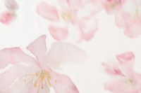 sakura_14372_202_1.jpg