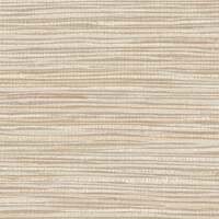 AR21-09_ARLO_ARROWROOT.jpg