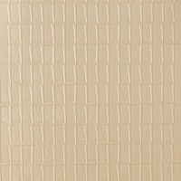TOP-NOTCH_CHAMPAGNE(SG19-03)_KOROSEAL.jpg