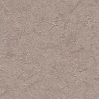c521-33.jpg