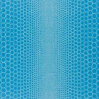 fcl041-03.jpg