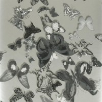 pcl008-06.jpg