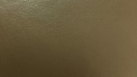 0449_01_z.jpg