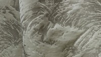 0555_01.jpg