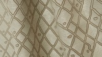 0737_01.jpg