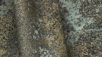 4229_01.jpg