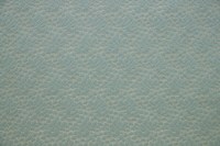 4254_01_n.jpg