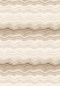 6446_01_n.jpg