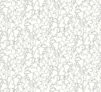 6462_01_n.jpg