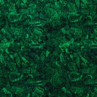 10681_74.jpg