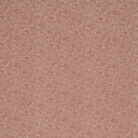 10695_51.jpg