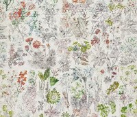 F7772-01.jpg
