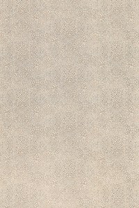 W7970-01.jpg