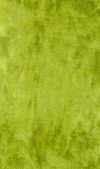f6271-07.jpg