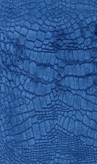 f6273-09.jpg