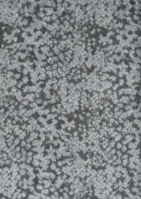 f6310-03.jpg