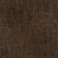 f6390-01.jpg