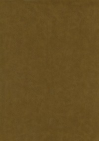 osborne_f6391-01.jpg