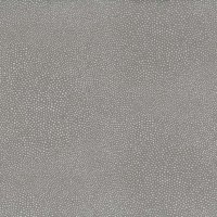 f6731-06.jpg