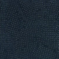 f6843-03.jpg