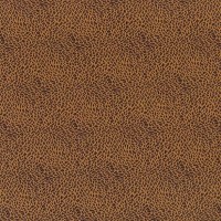 f6980-10.jpg