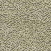 f7231-06.jpg