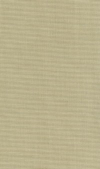 ncf3931-03.jpg
