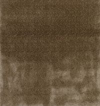 ncf4313-03.jpg