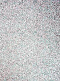 ncw4063-01.jpg
