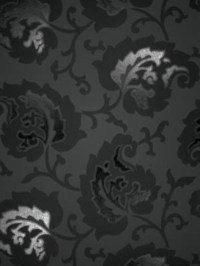 w5645-05.jpg
