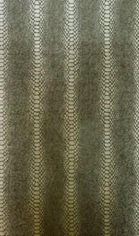 w6302-01.jpg